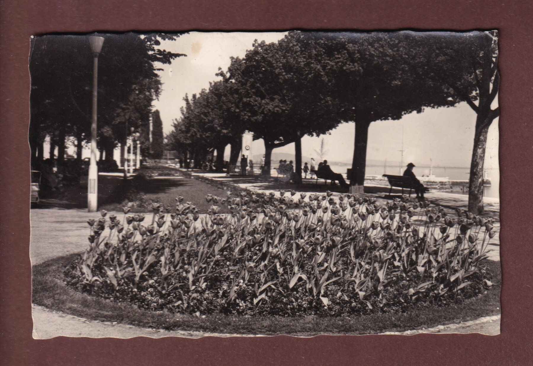 Ansichtskarten: NEUCHÂTEL - Quai Osterwald - 1953 – Gebraucht aus Pully von nicecards-shop