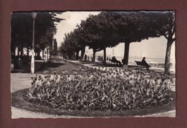 NEUCHÂTEL - Quai Osterwald - 1953