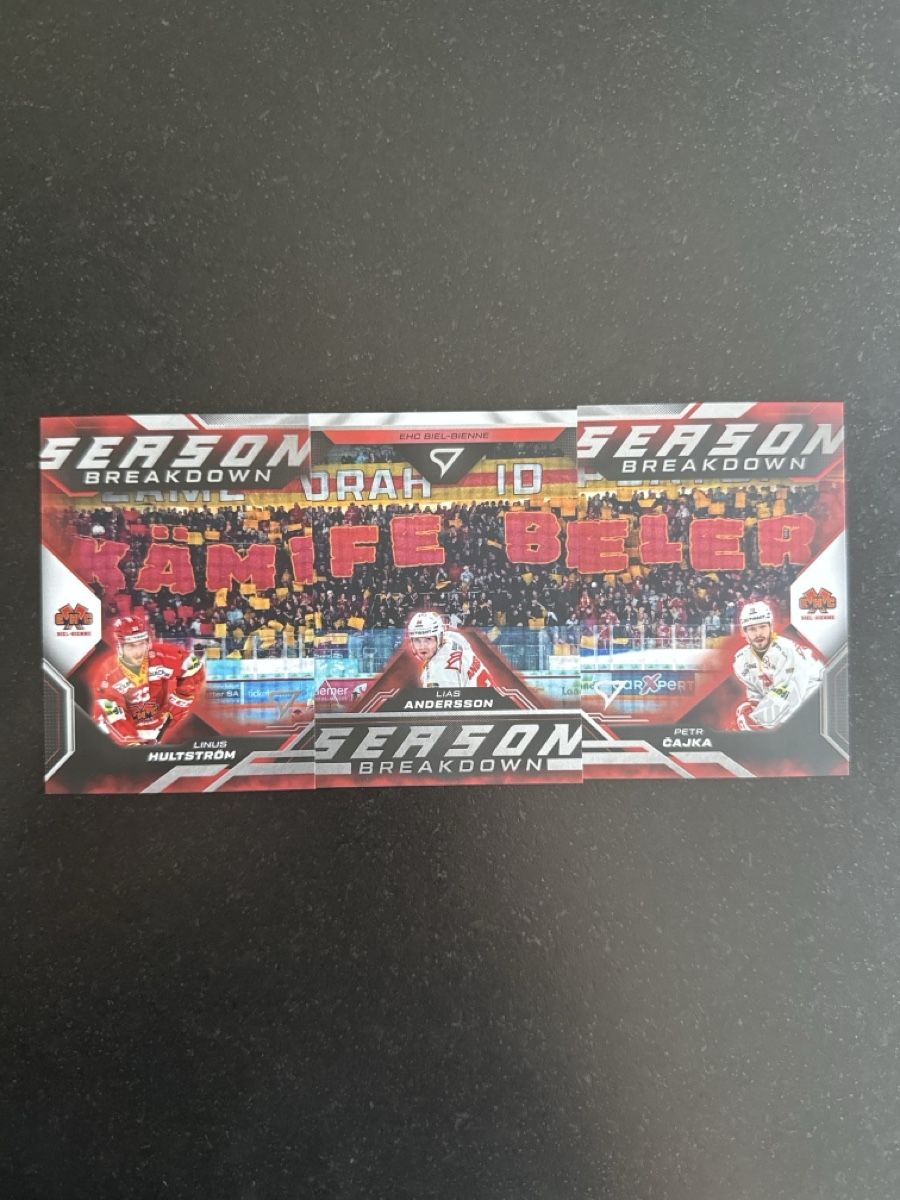 Sportzoo Carte collezionabili: Sportzoo playoff season breakdown Bienne – Nuovo e nell'imballaggio originale da Posieux venduto da figaro_nala