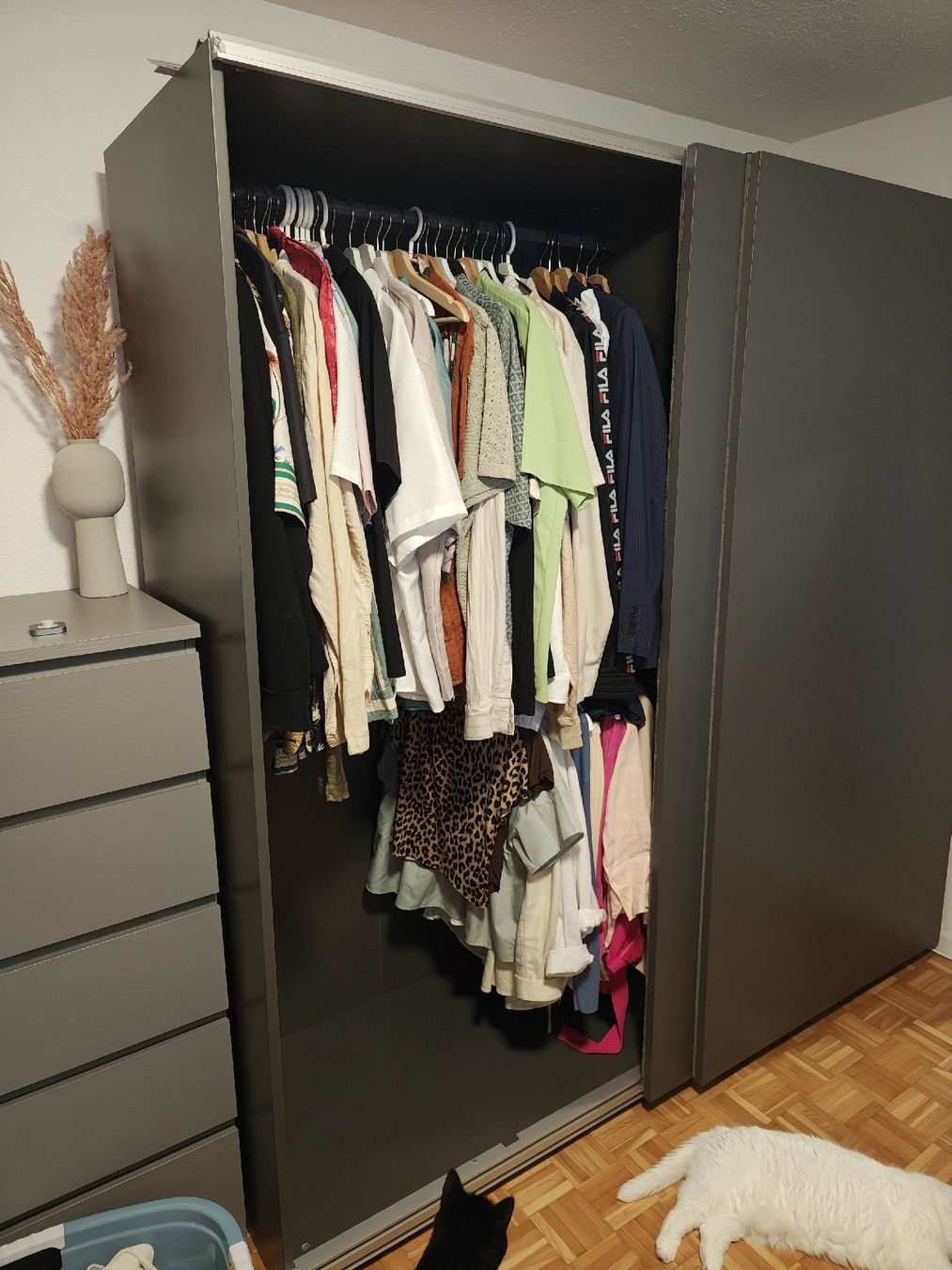 Ikea Guardaroba: KLEIDERSCHRANK ZU VERKAUFEN – Usato da Arni AG venduto da strecharmstrong 1