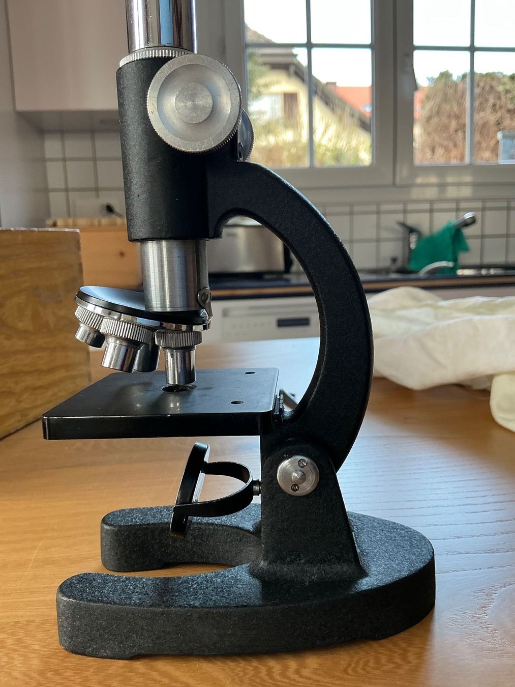 Microscopi: Kleines Kinder- Mikroskop Champion – Usato da Cormondrèche venduto da fra_gn5t 1