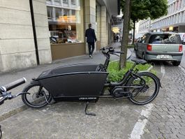 Urban Arrow Family Cargo Bike (Year 2023)