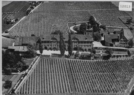 Flugaufnahme Schloss Salenegg Maienfeld