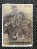 Offset - Lithografie von HORST JANSSEN     (ID B5798)
