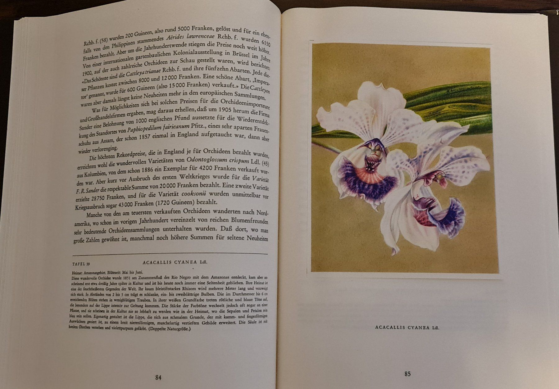 Libri: Orchideen Buch – Usato da Baden venduto da swiss-alps