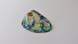 Paua Muschel Brosche, 5 x 3.5cm