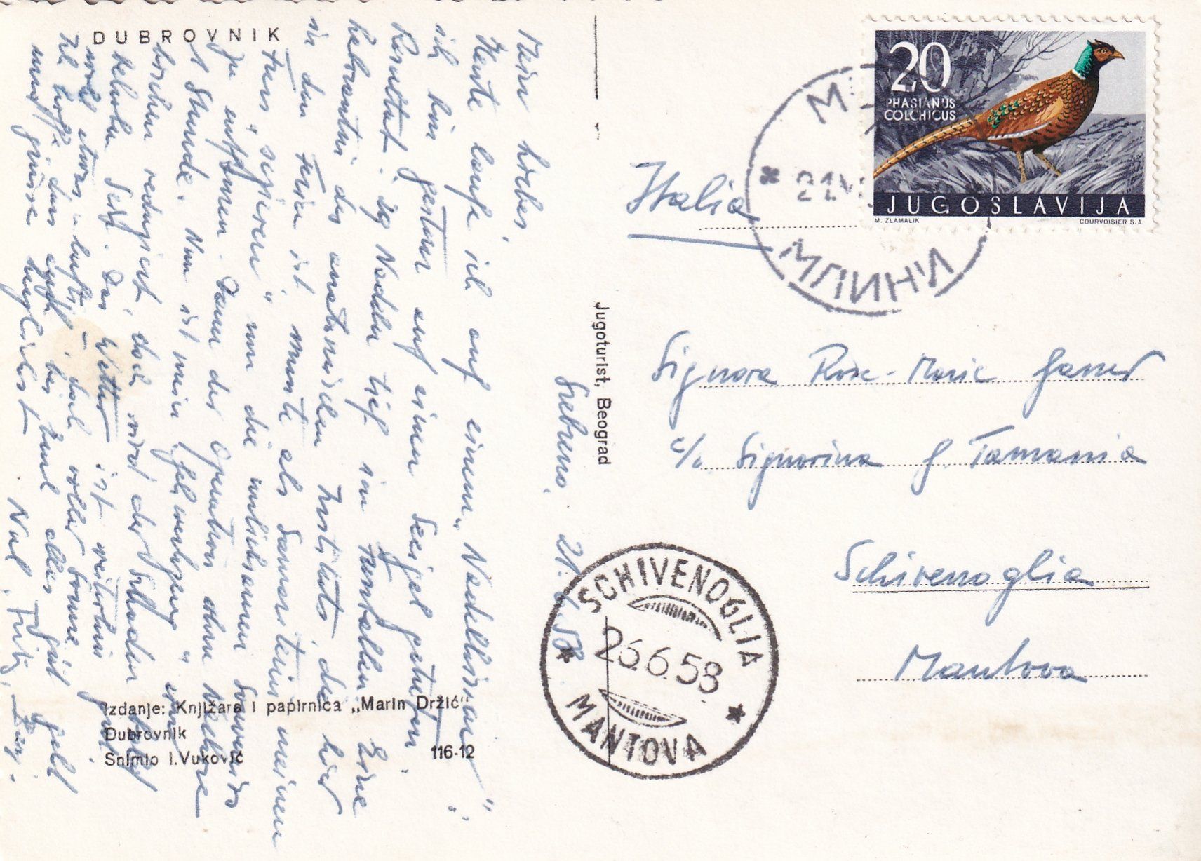 Cartoline postali: Dubrovnik /mp – Usato da Hombrechtikon venduto da Rudolf07 1