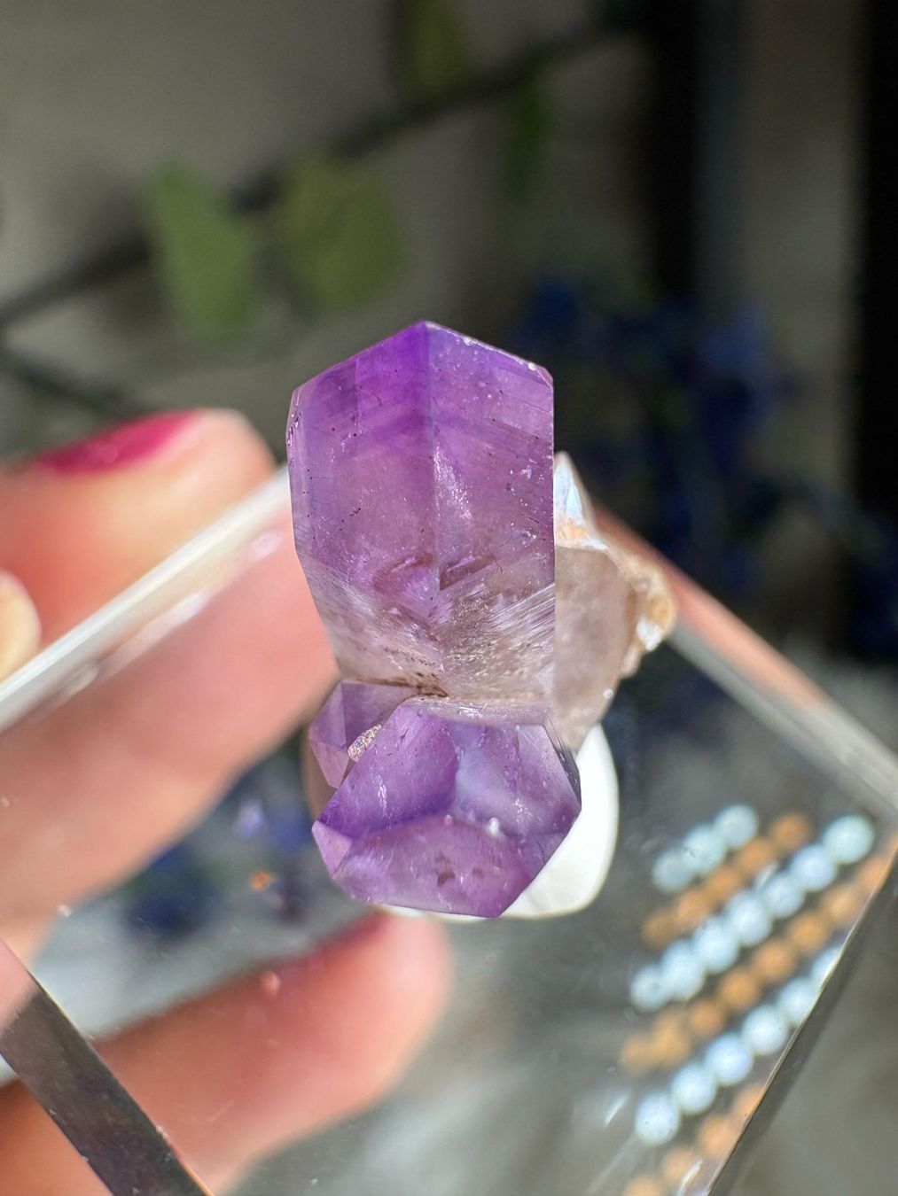 Pietre preziose: Veracruz Amethyst – Nuovo (secondo la descrizione) da Neuheim venduto da m.hald 2