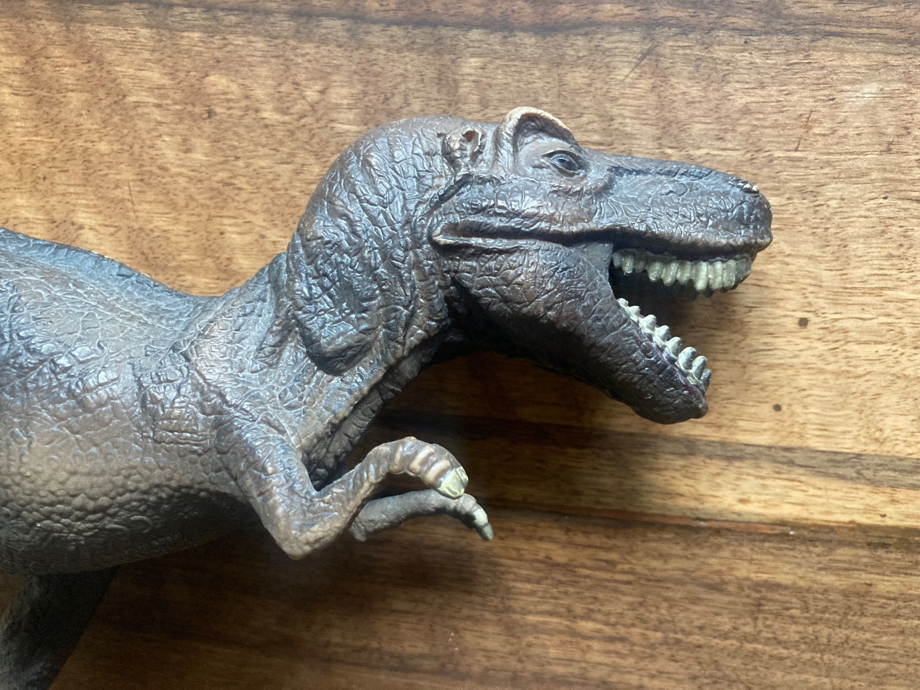 Schleich Spielzeuge: Schleich T-Rex – Gebraucht aus Kreuzlingen von tummetott71 2