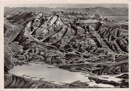 VOGELSCHAU: Bodensee gegen Alpstein, gelaufen 1951