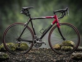 Wheeler Route 67 Rennvelo