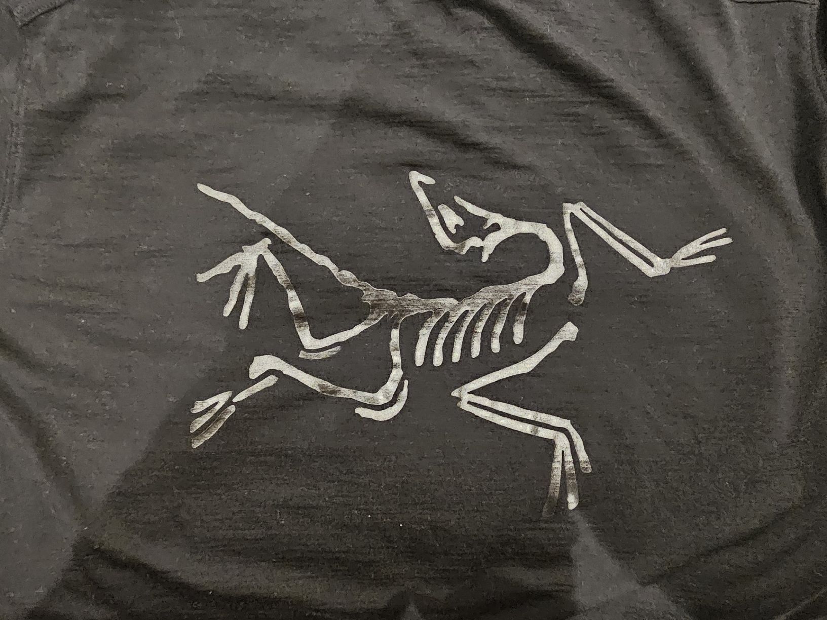 Arcteryx T-shirts: Arcteryx Lonia Merino – D'occasion à Rickenbach LU par Totoro14 5