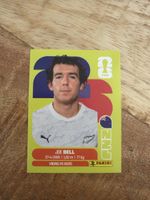 Panini NZL 10