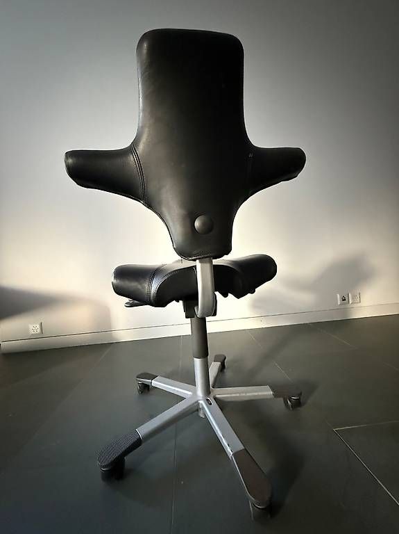 Håg Chaises: Ergonomischer Designer-Bürostuhl – D'occasion à Zürich par Domiloch11 1