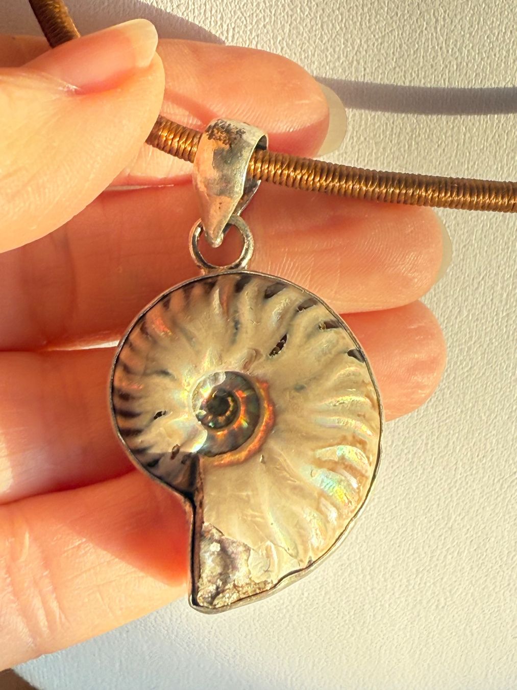 Ciondoli: Nautilus Anhänger mit Kette NEU – Nuovo e nell'imballaggio originale da Basel venduto da Chili007 2
