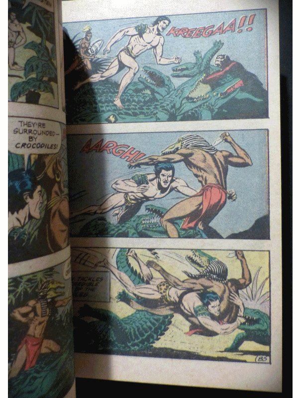 Fumetti: TARZAN #1 BY JOE KUBERT ONE-SHOT COMIC DC DIGEST 1972 – Usato da Lugano venduto da YouWantUS 5
