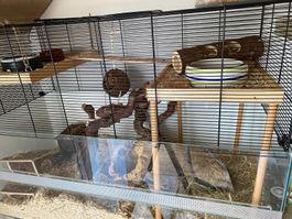 Nagerkäfig inkl. Zubehör und Zusatzaquarium