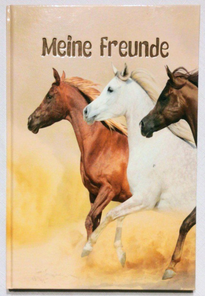 Libri: MEINE FREUNDE - FREUNDSCHAFTS-BUCH MÄDCHEN PFERDE – Nuovo (secondo la descrizione) da Wängi venduto da ABIZONE-86