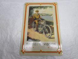 Halry Blechschild  28x41cm