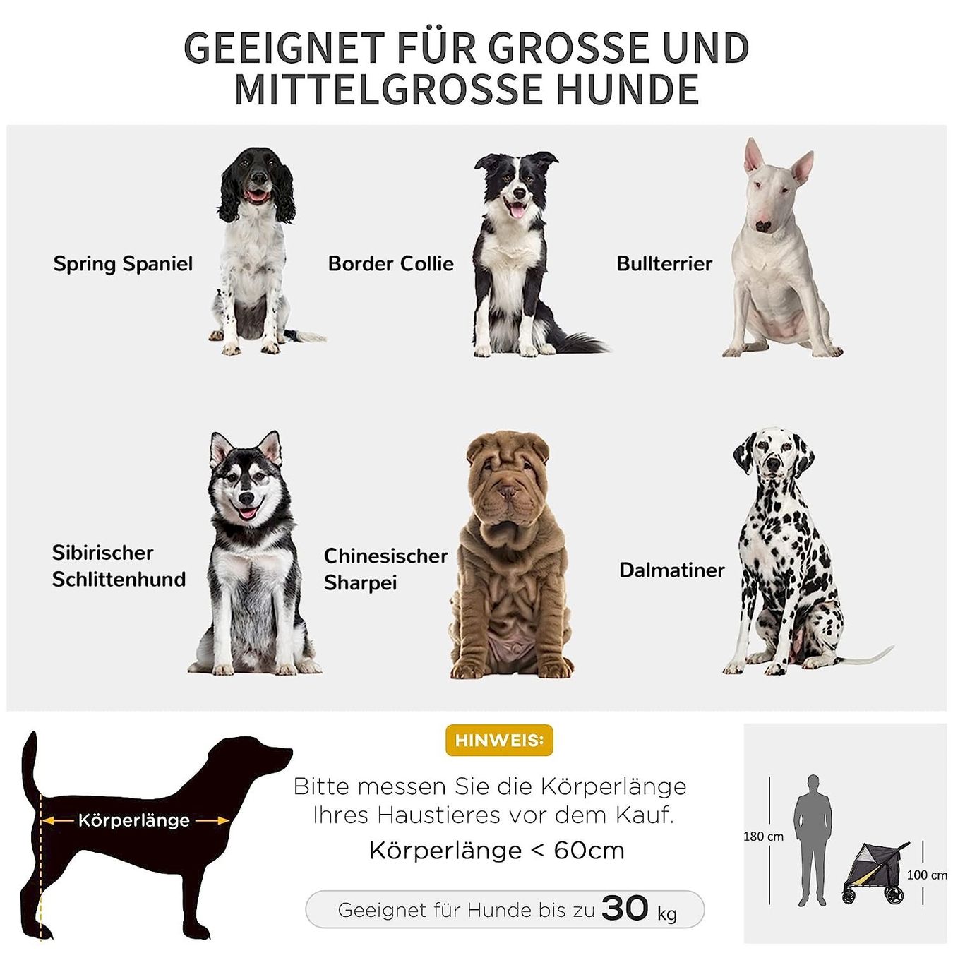 Gabbie, trasporto & Sicurezza: Hundewagen mit Netzfenster faltbar grau – Nuovo e nell'imballaggio originale da Bottighofen venduto da zaap 5