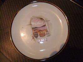 Assiette Décorative en Porcelaine " Thème Nature e Vie