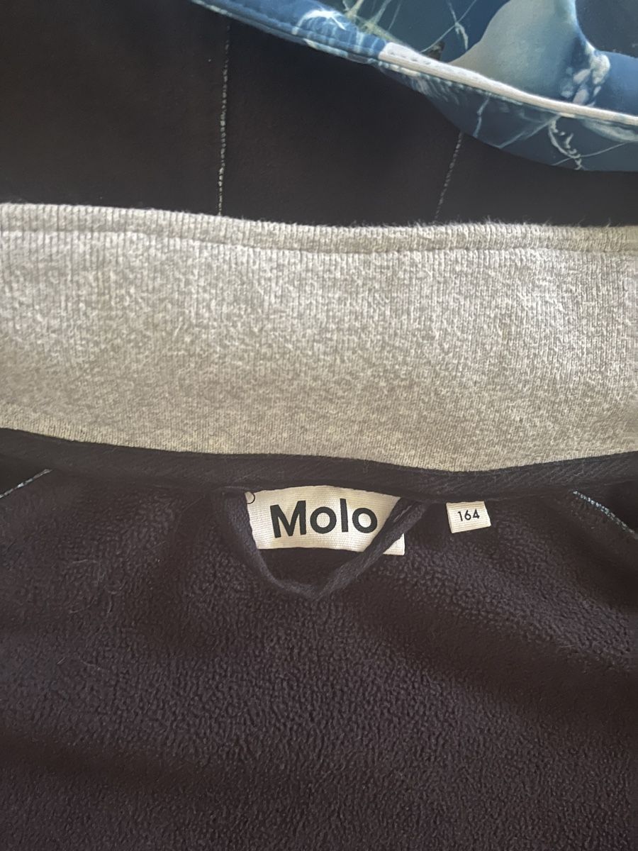 Molo Jacken & Mäntel: Molo Softshell Jacke Gr. 164 Pinguin Wal – Gebraucht aus Zug von Butternut1 4
