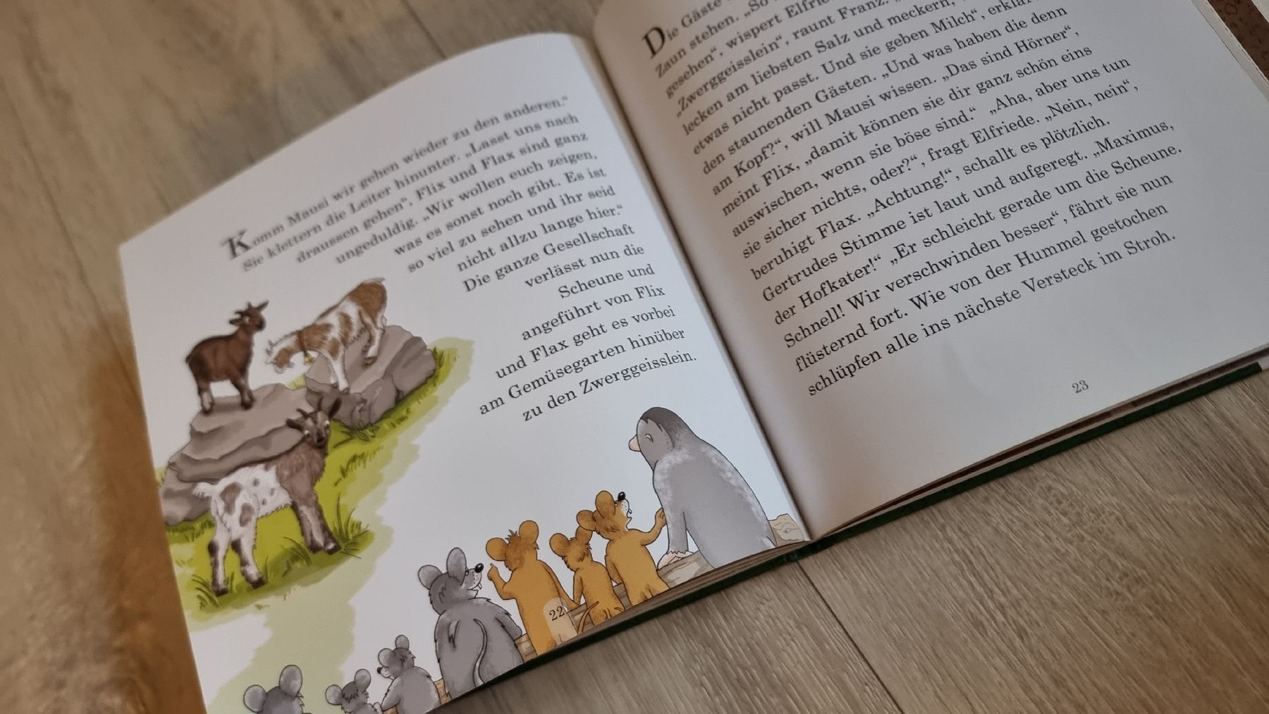 Bücher: Märchenbuch: Mux der Maulwurf - Endlich Ferien! – Gebraucht aus Wigoltingen von Zuckerfee84 5