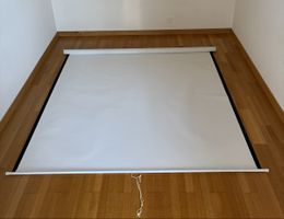 Beamer Leinwand