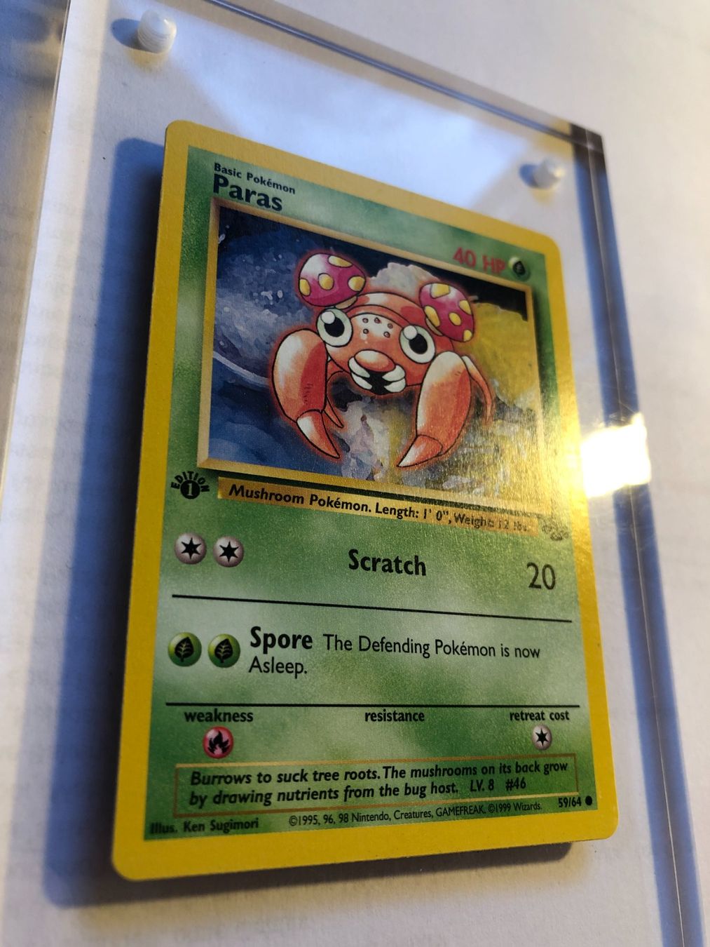 Carte collezionabili: Paras 1st Jungle - MINT - ab 1.- – Usato da Giubiasco venduto da dan_pr8b 1