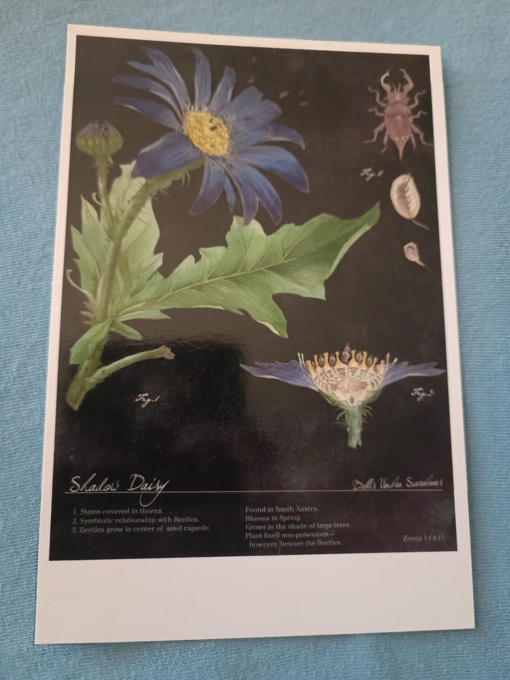 Autografi: Cornelia Funke - Schriftstellerin - handsigniert – Usato da Menziken venduto da Autogramme 1