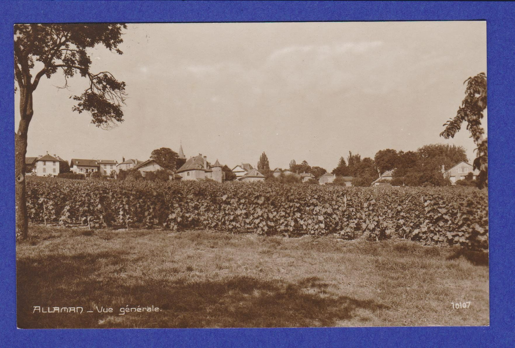 Cartoline postali: Allaman  -  alte Ansichtskarte 1931 – Usato da Vitznau venduto da Ropaku