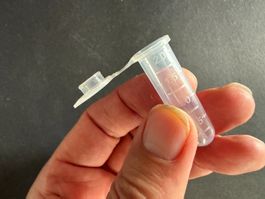 100 Stück Einmal-Reaktionsgefässe mit Deckel und Graduierung