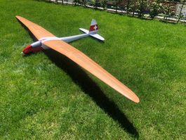 Rarität Segelflugzeug Fafnir (Spannweite 3.8m)