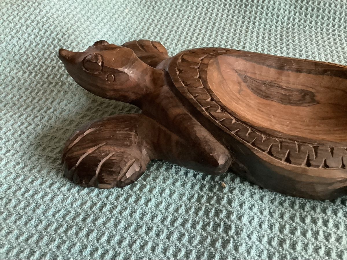 Tutte le decorazioni: Schildkröten Schale – Usato da Zürich venduto da Albatros57 2