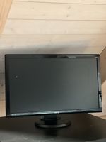 BenQ GL2450 24 inch LCD Monitor Toller Zustand