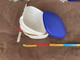 Multiserver, Box, Behälter, Tupperware, 3-teilig