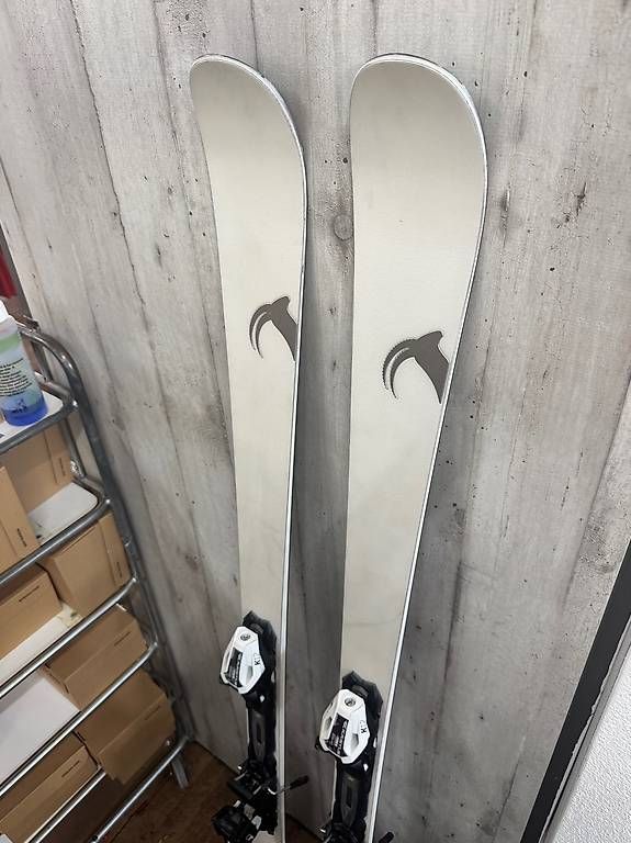 Skis: Differences DA75 175 cm  NEU  inkl. K12 Bindung – Neu und originalverpackt aus Sursee von pilatus.sport 4