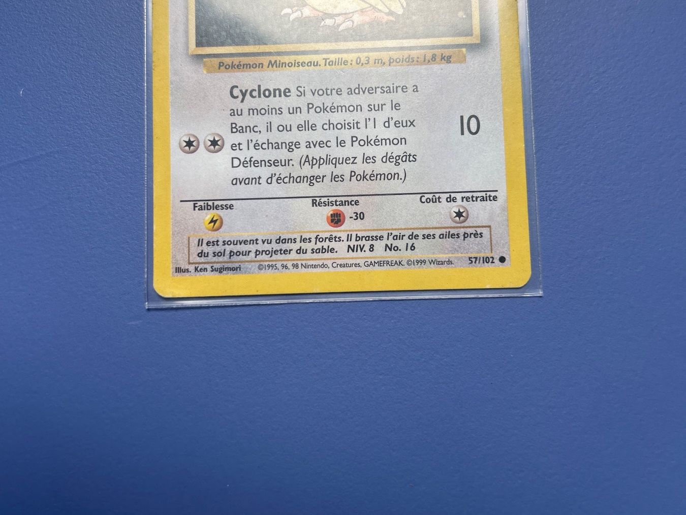 Pokémon Carte collezionabili: 1999 Roucoul 57/102 Set de base FR – Usato da Schlieren venduto da happymerchant64 3