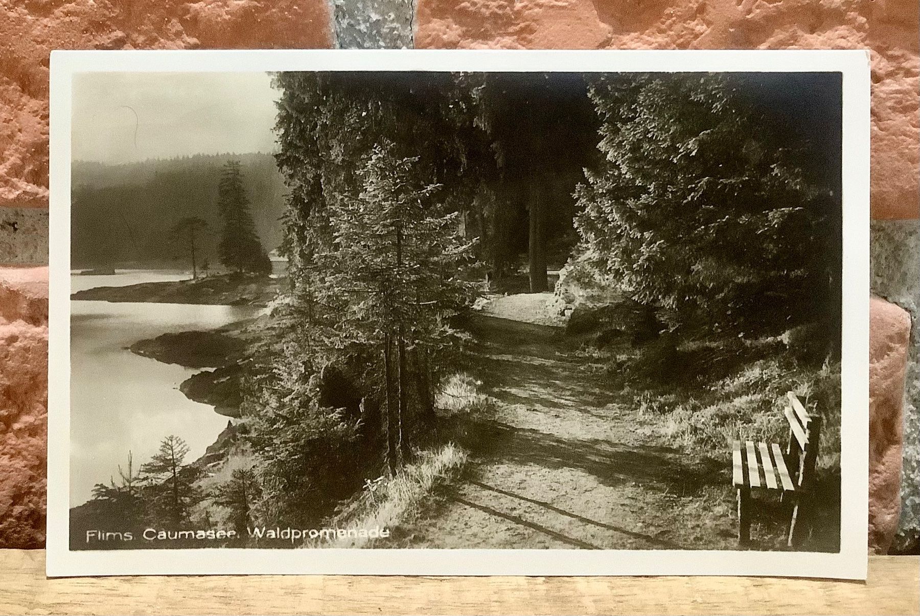 Cartoline postali: FLIMS - Caumasee Waldpromenade - Natur – Usato da Root venduto da ENGLAND-TREASURES
