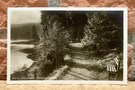 FLIMS - Caumasee Waldpromenade - Natur