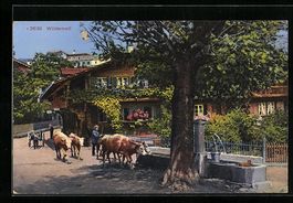 Wilderswil, Ortspartie und Bauer mit K