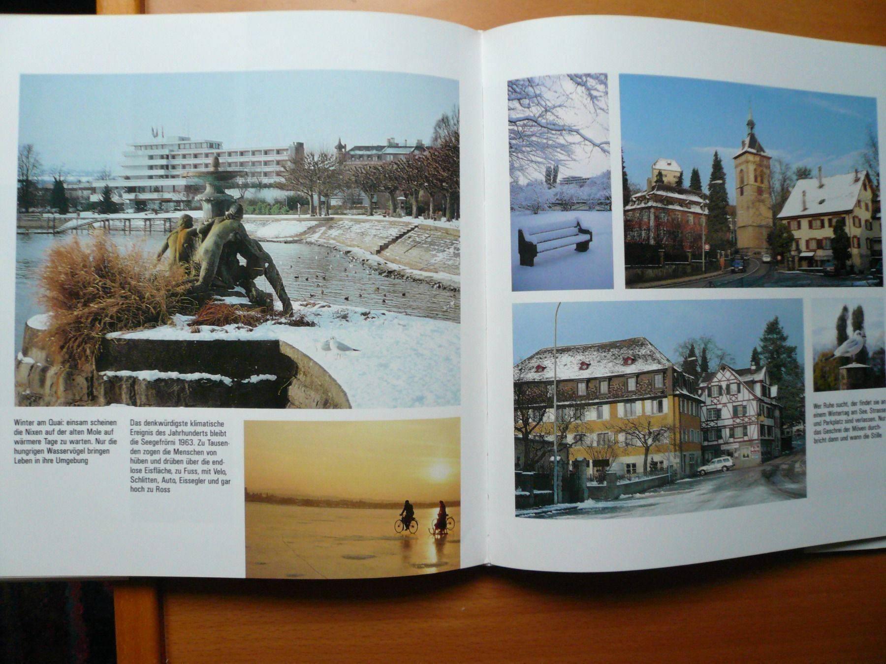 Libri: Thurgau - Chronik von Arbon am Bodensee – Nuovo (secondo la descrizione) da Brunnadern venduto da lesezirkel 8