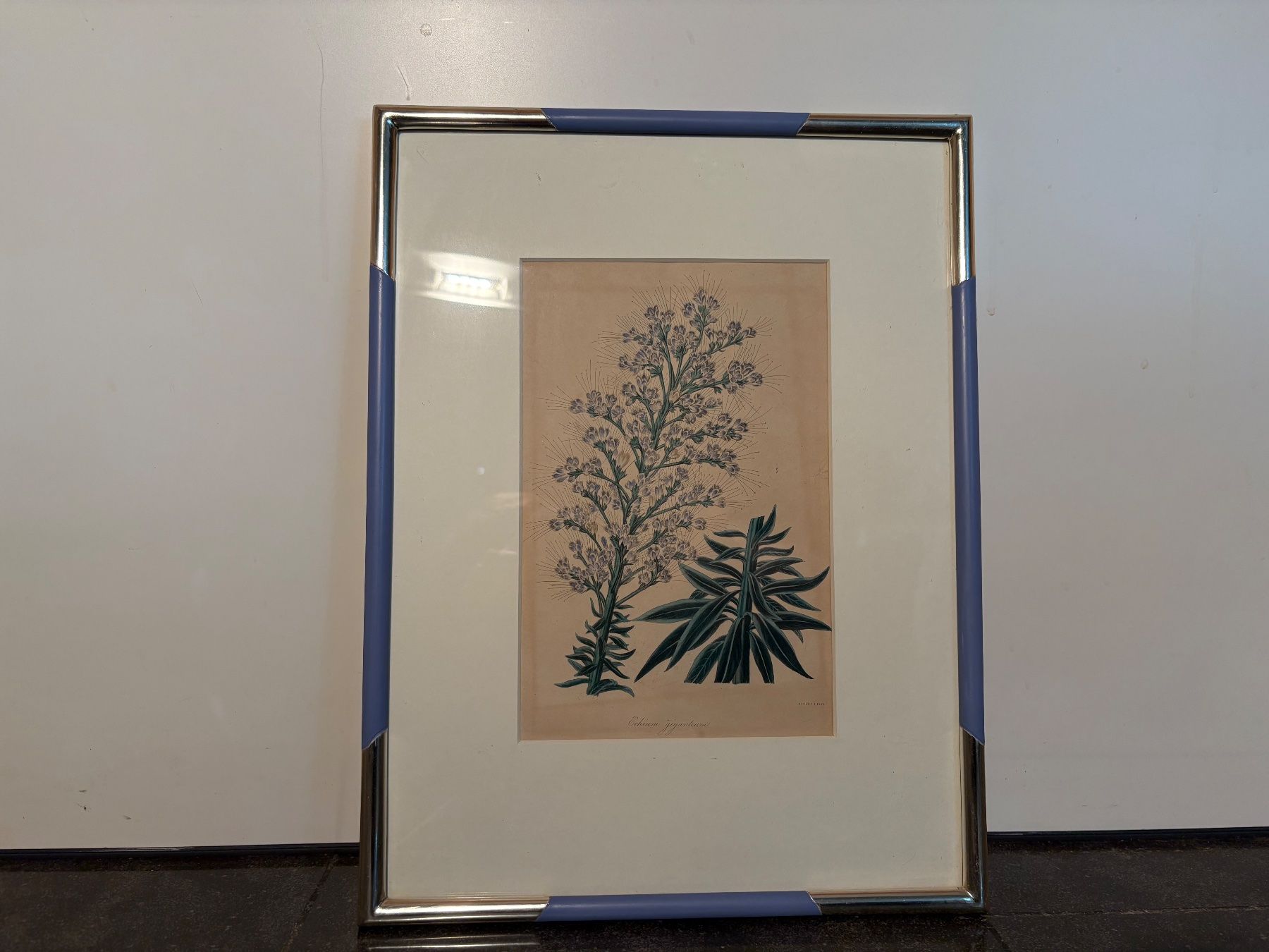 Poster & Bilder: Blumenbild mit bemalten Weissgold-Rahmen – Gebraucht aus Zürich von wasudami