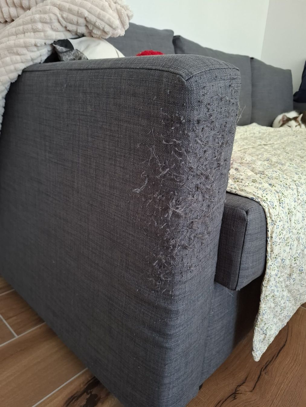 Ikea Sofas: Ikea Schlafsofa FRIHETEN – Gebraucht aus Wald ZH von Alborro 2