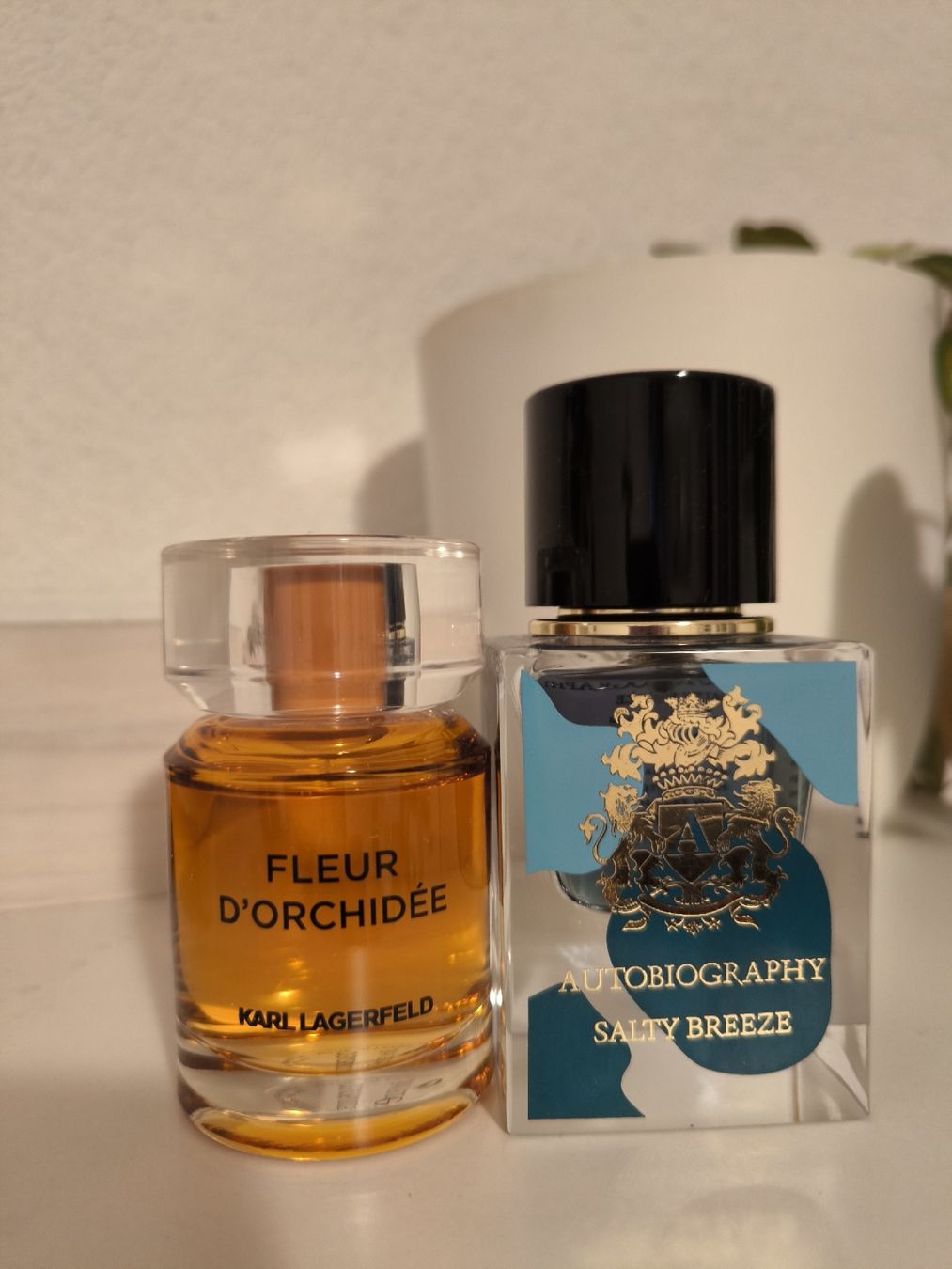 Profumi & Eau de Toilette: Karl Lagerfeld, Jo Malone Dupe – Usato da Rickenbach-Sulz venduto da Krisztike