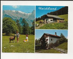 AK 1981 Heidiland , Hotel Heidihof , Bad Ragaz