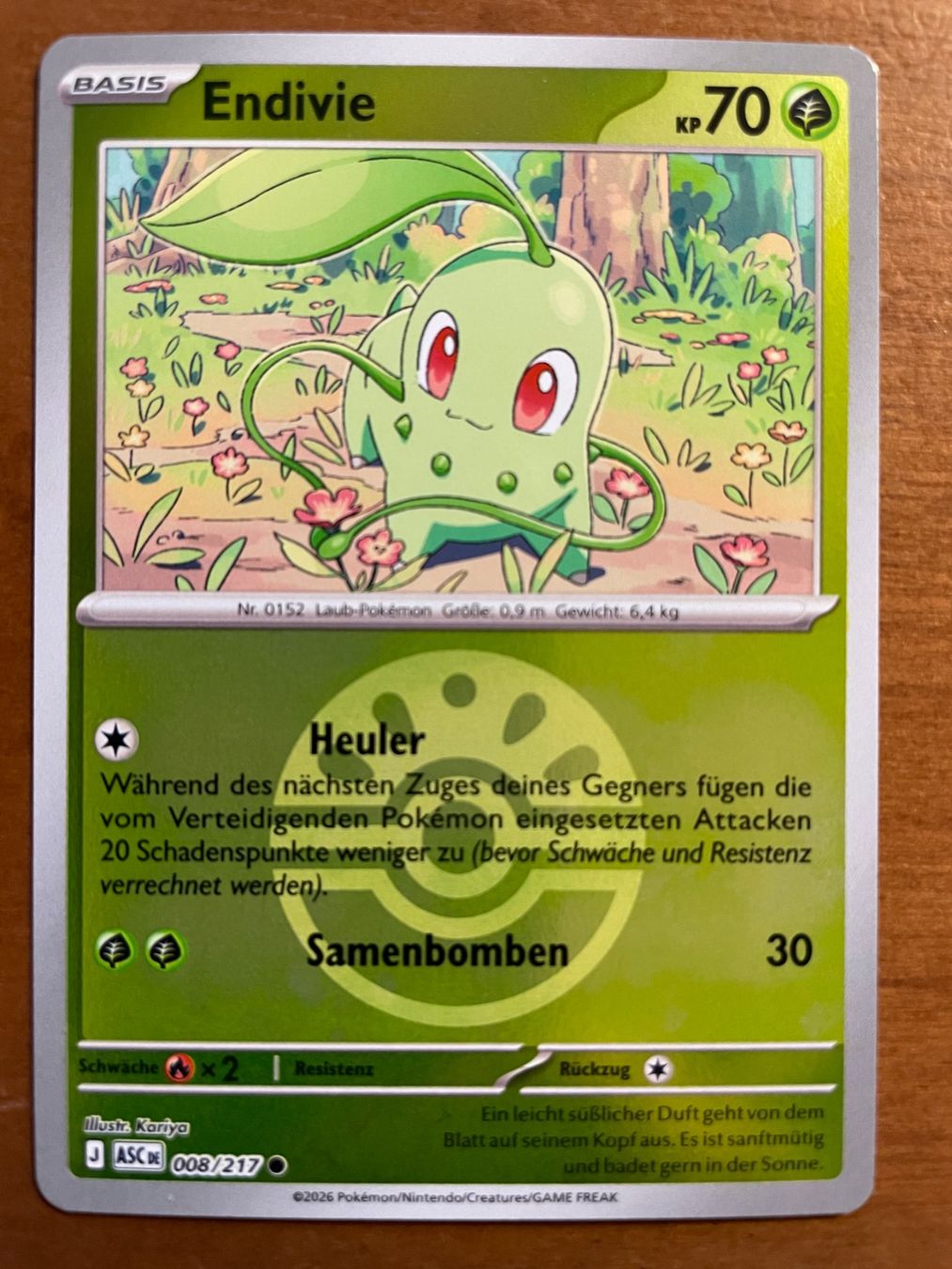 Pokémon Sammelbilder & Trading cards: Pokemon Endivie Reverse (Versand gratis) – Neu (gemäss Beschreibung) aus Chur von Angerson