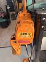 Elektrokettenzug 250Kg 400V 2 Stufig