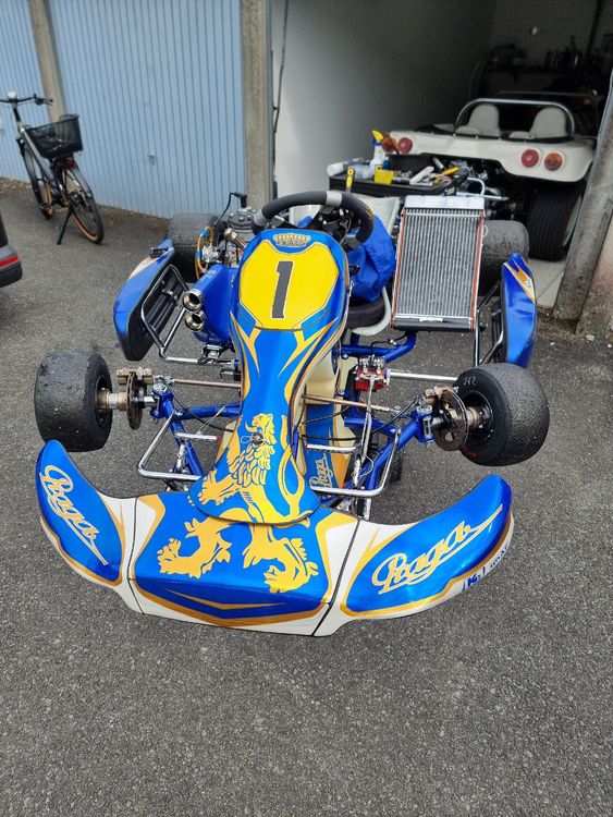 Karts: Praga Schaltkart – D'occasion à Thun par ber_56hd