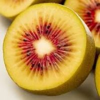Kiwi jaune à chair rouge Wonder ( 2 plants 15-20cm )